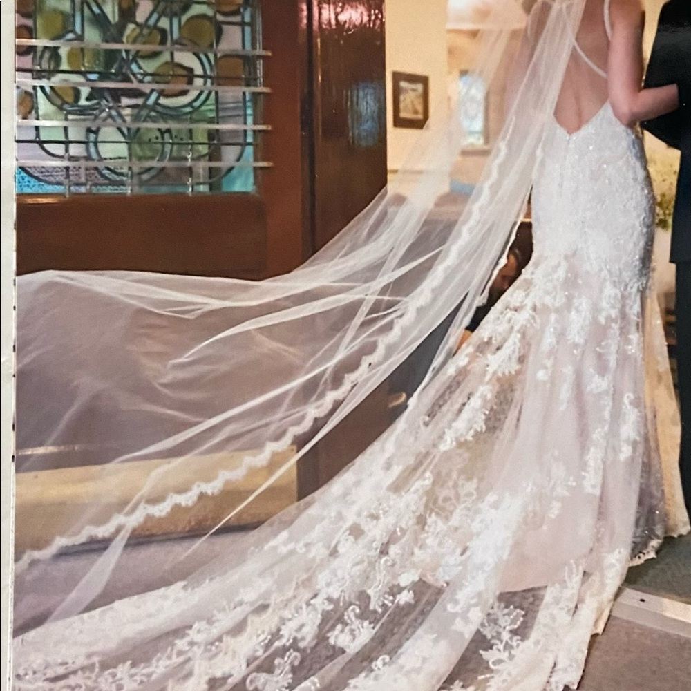 Gorgeous cathedral length bridal veil